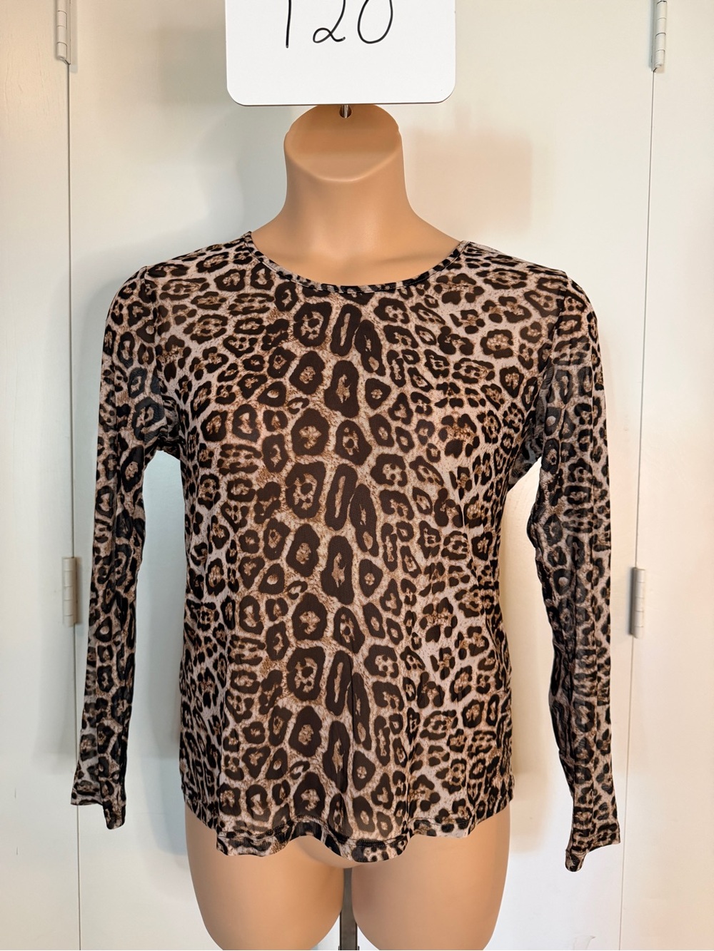 Crazy Train Leopard Print Long Sleeve Top - Brown & Black